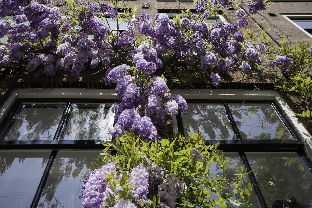 B&B Bloemgracht Amsterdam Exteriör bild